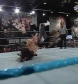 FCW_12-31-09_(2)_avi_000141174.jpg