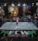 FCW_12-31-09_avi_000043343.jpg