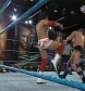 FCW_12-31-09_avi_000250116.jpg