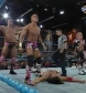 FCW_12-31-09_avi_000499799.jpg