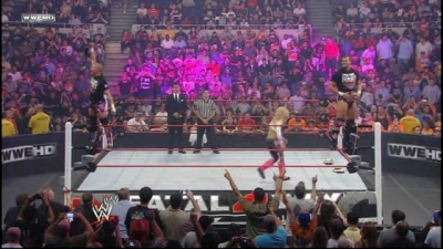 WWE_Fatal_4_Way_2010_PPV_HDTV_XviD-XS_avi_006646039.jpg