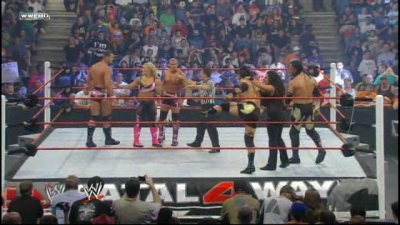 WWE_Fatal_4_Way_2010_PPV_HDTV_XviD-XS_avi_006701594.jpg