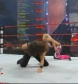 WWE_Fatal_4_Way_2010_PPV_HDTV_XviD-XS_avi_007263289.jpg