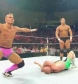 WWE-_Mediaplayer___The_Hart_Dynasty_Entrance_Video_flv_000009499.jpg