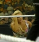 mitb10_unifiedtagtitles_divas-heaven_com_avi_000148240.jpg