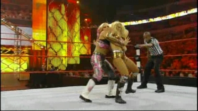 WWE_Hell_In_A_Cell_2010_PPV_HDTV_XviD-XS_avi_007426218.jpg