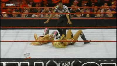 WWE_Hell_In_A_Cell_2010_PPV_HDTV_XviD-XS_avi_007641133.jpg