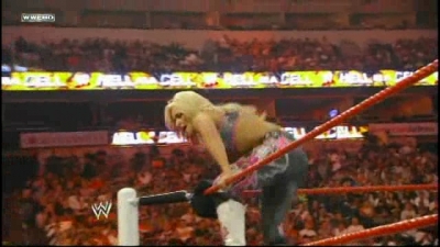 WWE_Hell_In_A_Cell_2010_PPV_HDTV_XviD-XS_avi_007737329.jpg