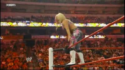 WWE_Hell_In_A_Cell_2010_PPV_HDTV_XviD-XS_avi_007738063.jpg