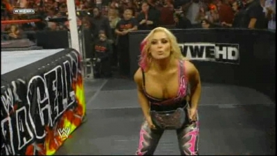 WWE_Hell_In_A_Cell_2010_PPV_HDTV_XviD-XS_avi_007759718.jpg