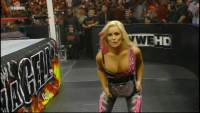 WWE_Hell_In_A_Cell_2010_PPV_HDTV_XviD-XS_avi_007760185.jpg