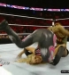 WWE_Monday_Night_RAW_2010_11_22_HDTV_XviD_avi_003332800.jpg