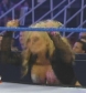 WWE_Friday_Night_Smackdown_2010_09_17_WS_PDTV_XviD-433_www_WRESTLEYOURWAY_com_avi_001012760.jpg