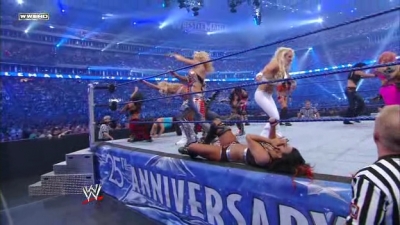 WWE_Wrestlemania_25_PPV_HDTV_XViD-KYR_CD1_WRESTLiNGBAY_COM_avi_002711775.jpg