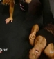 raw120710_hartsvsusos_divas-heaven_com_avi_000252518.jpg