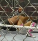 WWE_Monday_Night_Raw_13th_Sept_2010_PDTV_x264-Sir_Paul_www_WRESTLEYOURWAY_com_avi_003602600.jpg