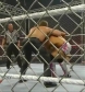 WWE_Monday_Night_Raw_13th_Sept_2010_PDTV_x264-Sir_Paul_www_WRESTLEYOURWAY_com_avi_003616400.jpg