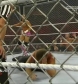 WWE_Monday_Night_Raw_13th_Sept_2010_PDTV_x264-Sir_Paul_www_WRESTLEYOURWAY_com_avi_003633800.jpg