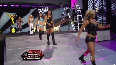 WWE_Raw_12_13_10_Diva_Battle_Royal_720p_AC3_5_1_x264_mkv_000096530.jpg