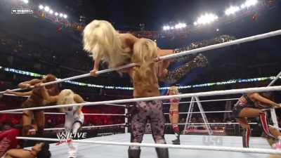 WWE_Raw_12_13_10_Diva_Battle_Royal_720p_AC3_5_1_x264_mkv_000215315.jpg