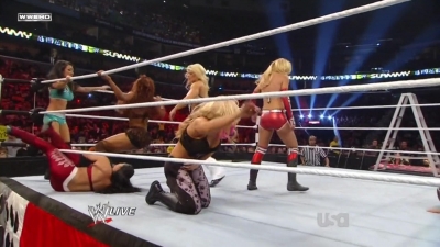 WWE_Raw_12_13_10_Diva_Battle_Royal_720p_AC3_5_1_x264_mkv_000222455.jpg