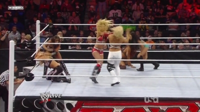 WWE_Raw_12_13_10_Diva_Battle_Royal_720p_AC3_5_1_x264_mkv_000279012.jpg