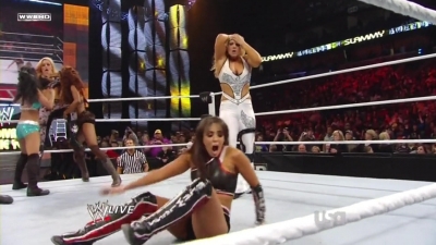 WWE_Raw_12_13_10_Diva_Battle_Royal_720p_AC3_5_1_x264_mkv_000300900.jpg
