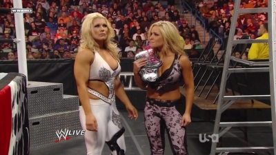 WWE_Raw_12_13_10_Diva_Battle_Royal_720p_AC3_5_1_x264_mkv_000428127.jpg