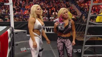 WWE_Raw_12_13_10_Diva_Battle_Royal_720p_AC3_5_1_x264_mkv_000429896.jpg