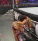 SurvivorSeries2010_mp4_005486514.jpg