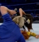 SD_10-10-08_Brie_Bella_vs_Natalya_w-Victoria_avi_000252840.jpg