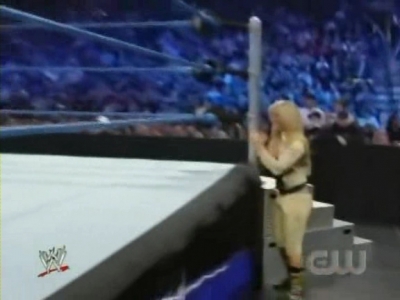 WWE_SmackDown_04_11_08_XviD_avi_000203636.jpg