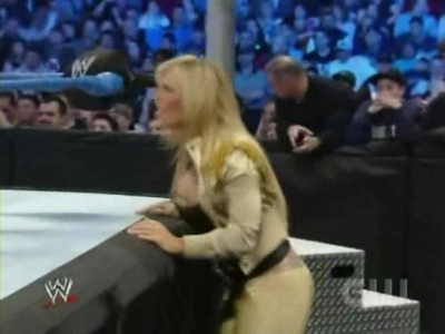 WWE_SmackDown_04_11_08_XviD_avi_000204704.jpg