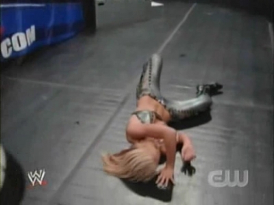 SD_07-11-08_Natalya-Maryse_vs_Michelle-Cherry_avi_000278011.jpg