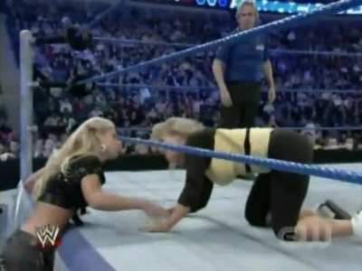 WWE_SmackDown_04_18_08_Cherry_vs_Victoria_XviD_avi_000354454.jpg
