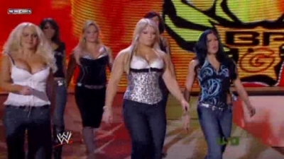 WWE_Raw_04_21_08_Divas_HD_XviD_avi_000200366.jpg