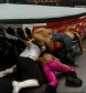 RAW_06-23-08_Melina-Mickie_James_vs_Natalya-Victoria_avi_000399099.jpg