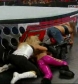 RAW_06-23-08_Melina-Mickie_James_vs_Natalya-Victoria_avi_000399532.jpg