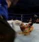 Filename=SD_10-03-08_Beth_vs_Michelle_-_Lumberjill_match_avi_000287320.jpg
Filesize=81KiB
Dimensions=512x384
Date added=Oct 17, 2008 SD_10-03-08_Beth_vs_Michelle_-_Lumberjill_match_avi_000287320.jpg