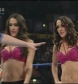 WWE_SD_21-11-08_Bella-Twins-vs-_Victoria-Natalya_avi_000102800.jpg