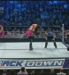 WWE_SD_21-11-08_Bella-Twins-vs-_Victoria-Natalya_avi_000312840.jpg