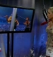 Filename=WWE_SmackDown_05_09_08_Diva_Match_XviD_avi_000270436.jpg
Filesize=120KiB
Dimensions=576x432
Date added=Oct 18, 2008 WWE_SmackDown_05_09_08_Diva_Match_XviD_avi_000270436.jpg