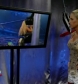 Filename=WWE_SmackDown_05_09_08_Diva_Match_XviD_avi_000271137.jpg
Filesize=131KiB
Dimensions=576x432
Date added=Oct 18, 2008 WWE_SmackDown_05_09_08_Diva_Match_XviD_avi_000271137.jpg