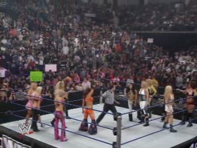 WWE_Backlash_2008_Diva_Match_XviD_avi_000127494.jpg