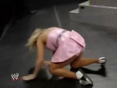 WWE_Backlash_2008_Diva_Match_XviD_avi_000303936.jpg