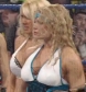 WWE_Backlash_2008_Diva_Match_XviD_avi_000116349.jpg