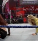 WWE_Backlash_2008_Diva_Match_XviD_avi_000501667.jpg