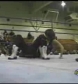 Ivory_vs_Naddie_9_16_06_GLOW_flv_000385500.jpg