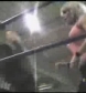 Ivory_vs_Naddie_9_16_06_GLOW_2_flv_000004233.jpg