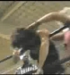 Ivory_vs_Naddie_9_16_06_GLOW_2_flv_000006033.jpg
